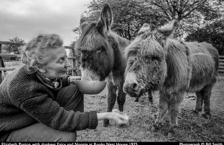 A black and white photo by Bill Smith of Elizabeth Poston feeding her two donkeys on her smallholding.